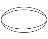Rugby Mini