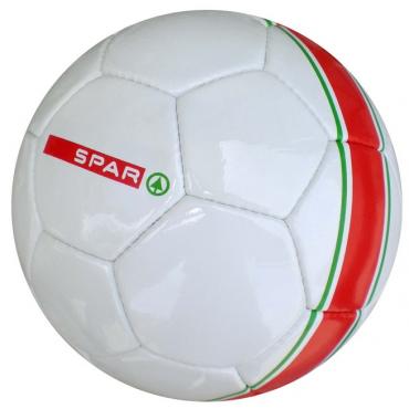 PVC Training Football