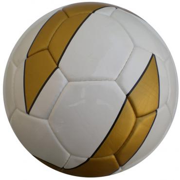PU Training Football